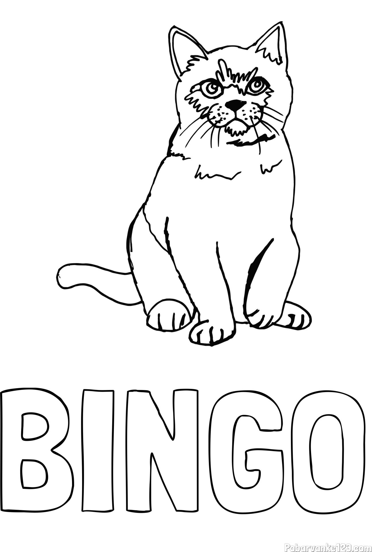 Pobarvanka imena BINGO in pobarvanka lepe mucke