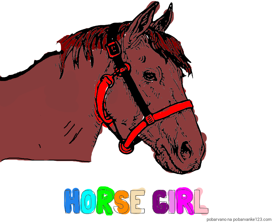 POBARVANA POBARVANKA - Pobarvanka imena HORSE GIRL in konjska glava