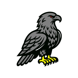 Pobarvana pobarvanka - Pobarvanka  majhnega orla