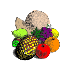 Pobarvana pobarvanka - Pobarvanka sadja (ananas, melona, jabolka, kivi, grozdje, pomaranča...)