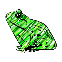 Pobarvana pobarvanka - Pobarvanka žabe Regice