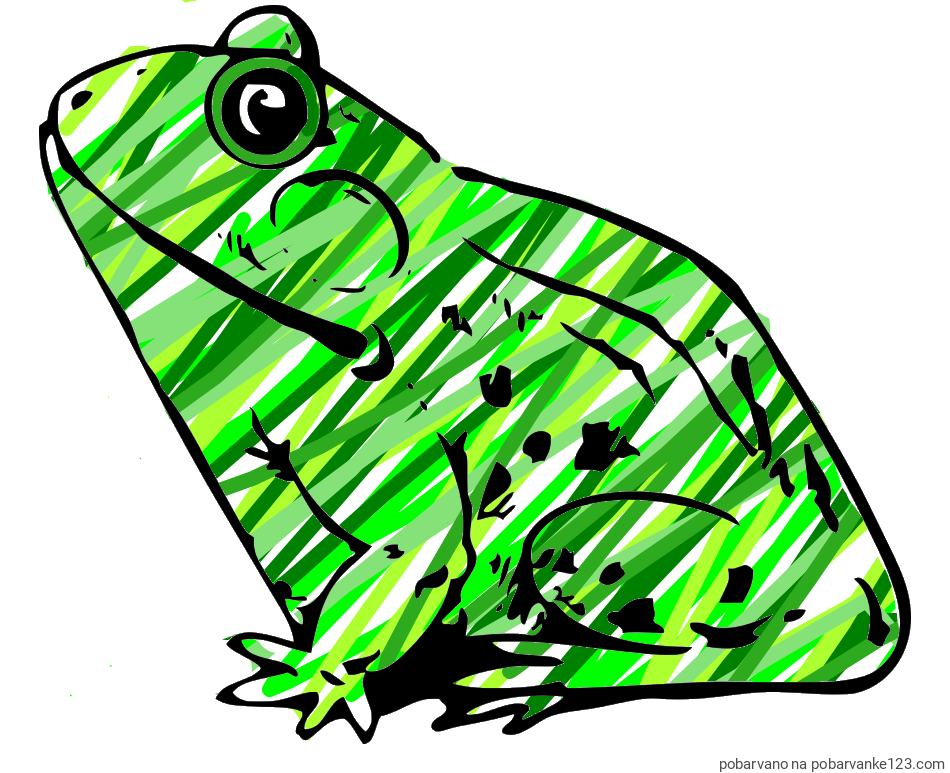 POBARVANA POBARVANKA - Pobarvanka žabe Regice