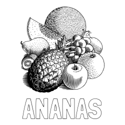 Online izdelana pobarvanka - Pobarvanka imena ANANAS in pobarvanka sadja (ananas, melona, jabolka, kivi, grozdje, pomaranča...)