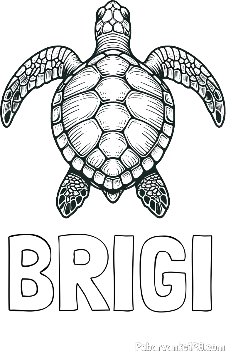Pobarvanka imena BRIGI in enostavna pobarvanka želve