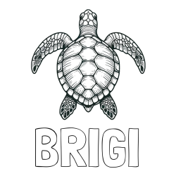 Online izdelana pobarvanka - Pobarvanka imena BRIGI in enostavna pobarvanka želve
