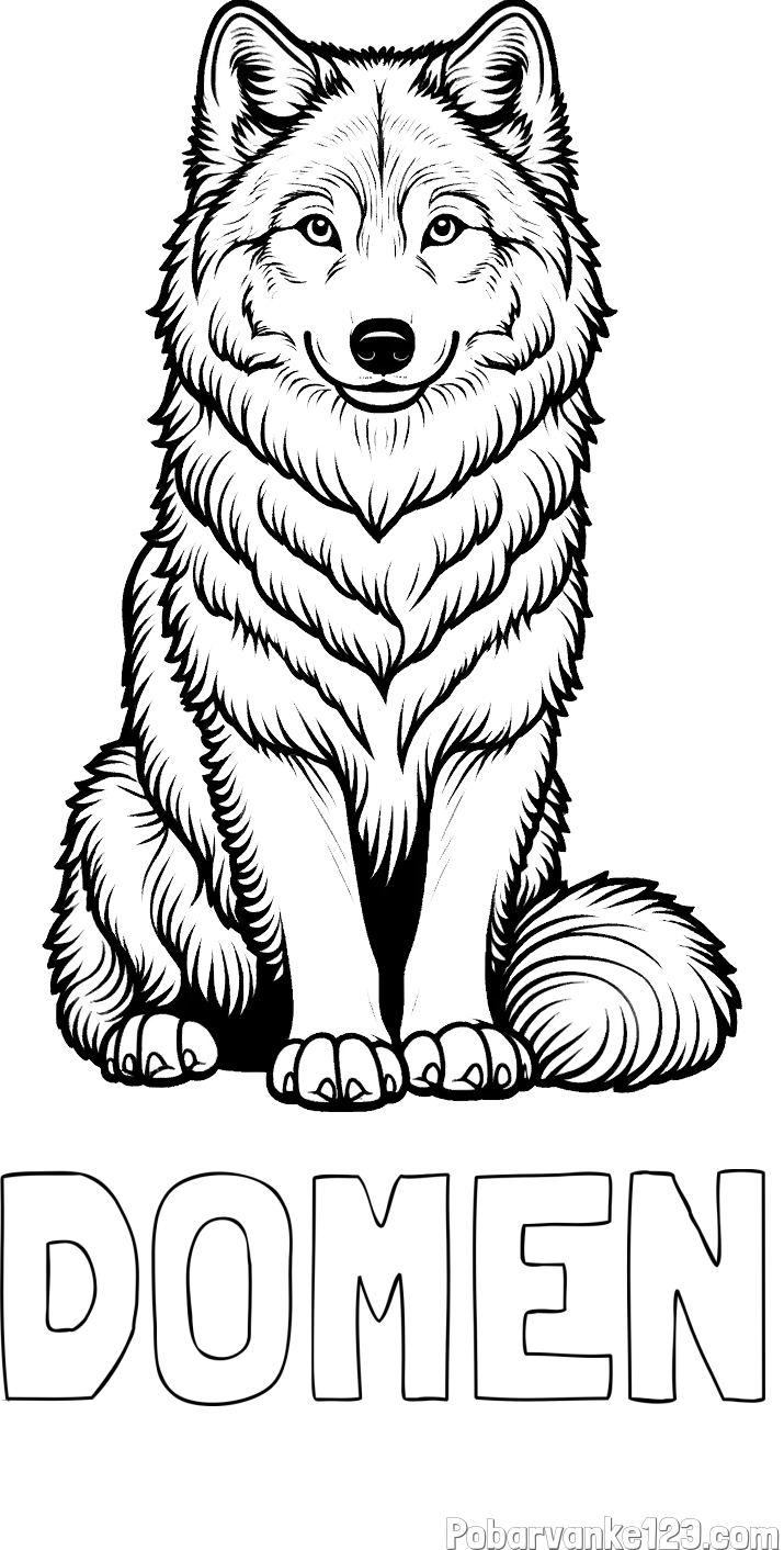 Pobarvanka imena DOMEN in pobarvanka prijaznega volka
