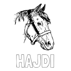 Online izdelana pobarvanka - Pobarvanka imena HAJDI in konjska glava