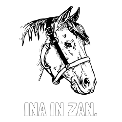 Online izdelana pobarvanka - Pobarvanka imena INA IN ŽAN. in konjska glava