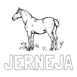 Online izdelana pobarvanka - Pobarvanka imena JERNEJA in pobarvanka konja na travi