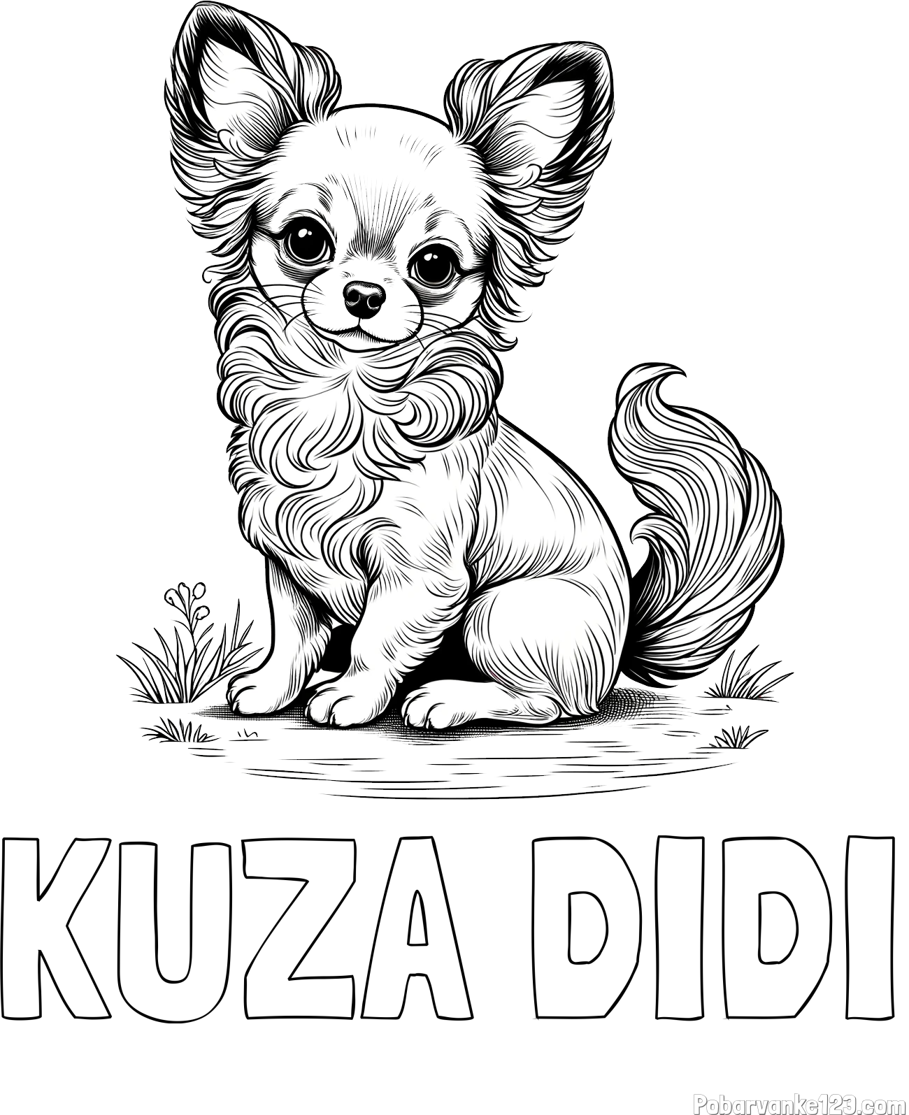 Pobarvanka imena KUŽA DIDI in pobarvanka ljubke čivave