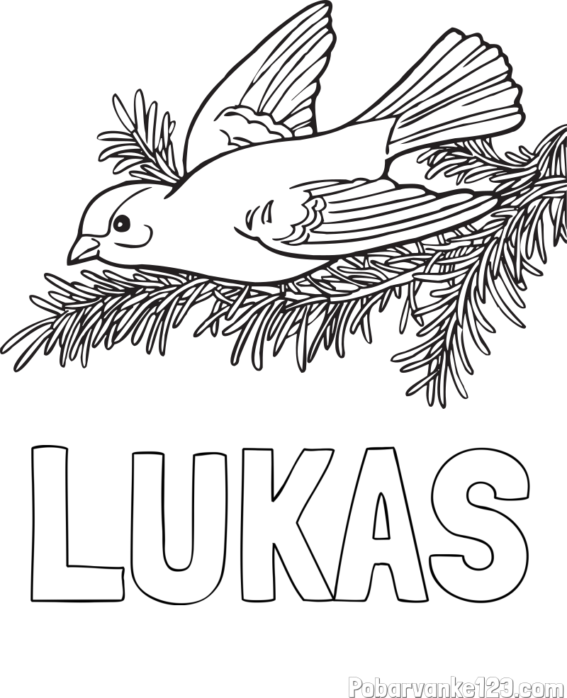 Pobarvanka imena LUKAS in pobarvanka ptice na vejici