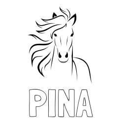 Online izdelana pobarvanka - Pobarvanka imena PINA in lepa pobarvanka konja