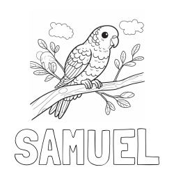 Online izdelana pobarvanka - Pobarvanka imena SAMUEL in pobarvanka ljubkega kanarčka na veji