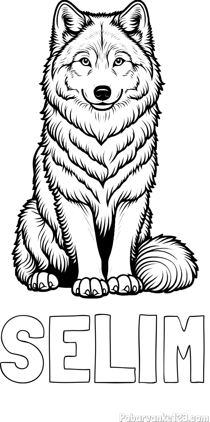 Pobarvanka imena SELIM in pobarvanka prijaznega volka