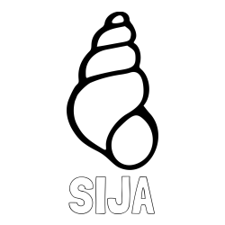 Online izdelana pobarvanka - Pobarvanka imena SIJA in pobarvanka školjke morskega polžka