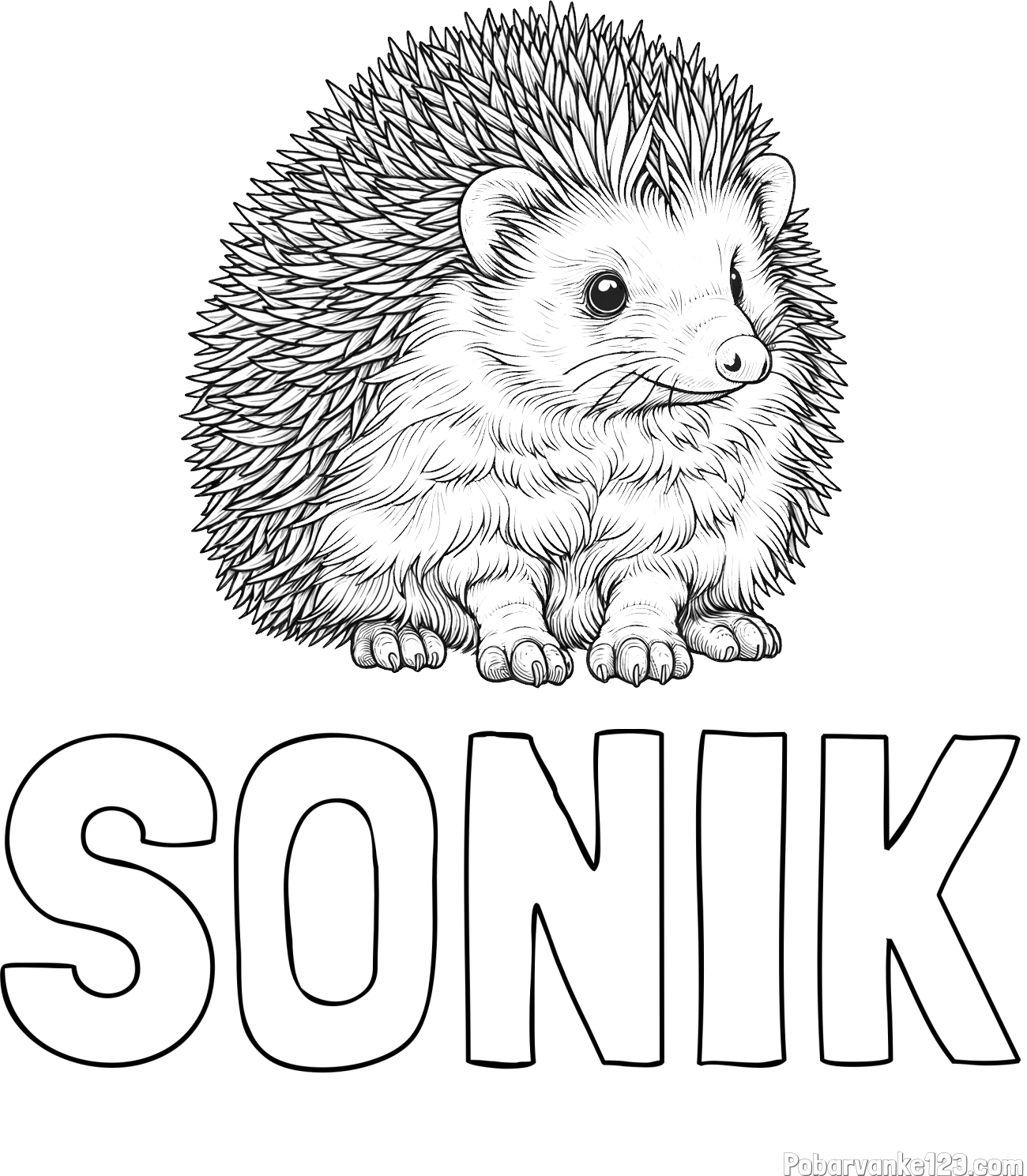 Pobarvanka imena SONIK in pobarvanka nasmejanega ježa