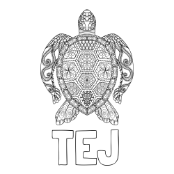 Online izdelana pobarvanka - Pobarvanka imena TEJ in pobarvanka želve - mandale