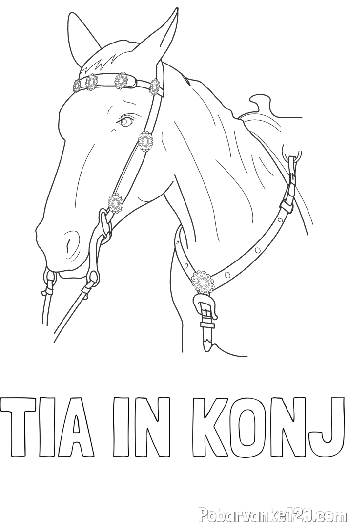 Pobarvanka imena TIA IN KONJ in pobarvanka konjske glave