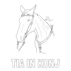 Online izdelana pobarvanka - Pobarvanka imena TIA IN KONJ in pobarvanka konjske glave