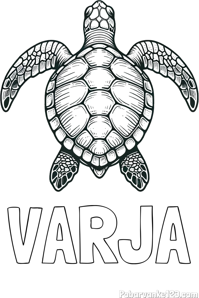 Pobarvanka imena VARJA in enostavna pobarvanka želve
