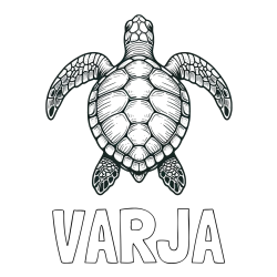 Online izdelana pobarvanka - Pobarvanka imena VARJA in enostavna pobarvanka želve