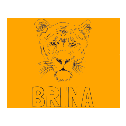 Pobarvana pobarvanka - Pobarvanka imena BRINA in pobarvanka levinje