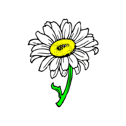 Pobarvana pobarvanka - Pobarvanka lepe sončnice