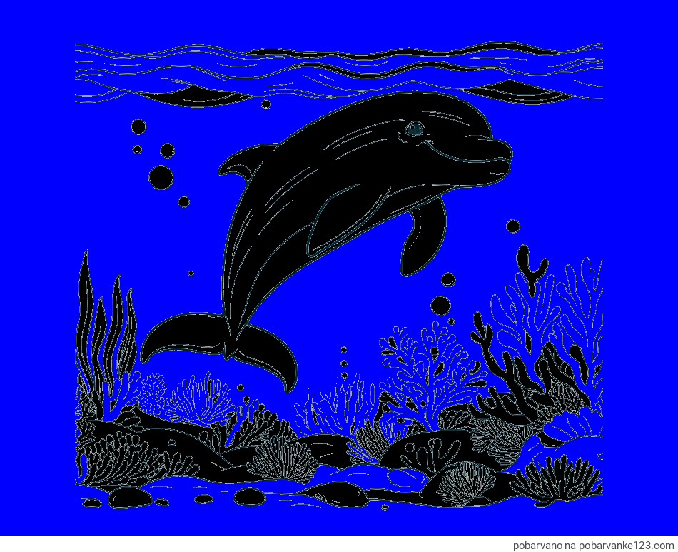 POBARVANA POBARVANKA - Pobarvanka ljubkega delfina med plavanjem v morju
