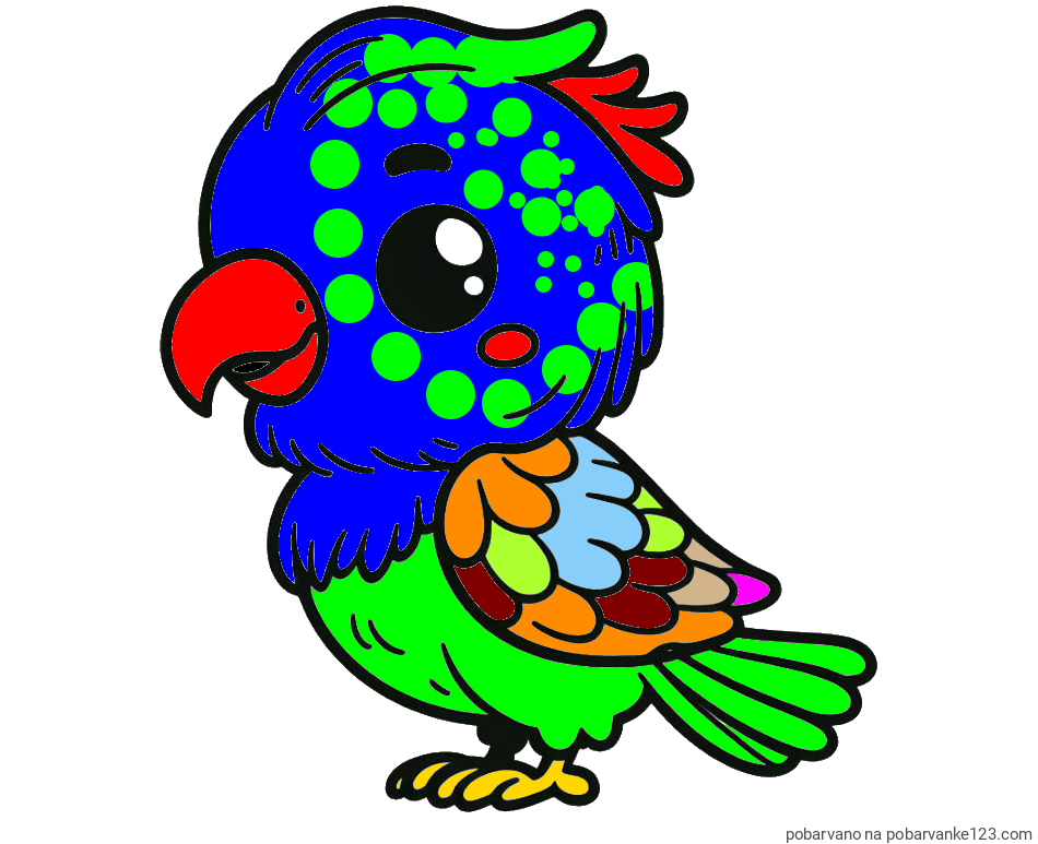 POBARVANA POBARVANKA - Pobarvanka ljubkega papagaja