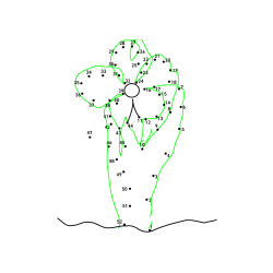 Pobarvana pobarvanka - Pobarvanka rože - poveži številke