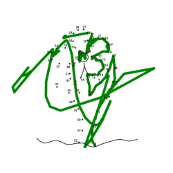 Pobarvana pobarvanka - Pobarvanka rože - poveži številke