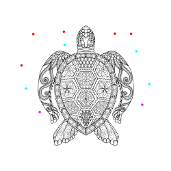 Pobarvana pobarvanka - Pobarvanka želve - mandale