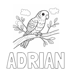 Online izdelana pobarvanka - Pobarvanka imena ADRIAN in pobarvanka ljubkega kanarčka na veji
