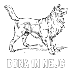 Online izdelana pobarvanka - Pobarvanka imena DONA IN NEJC in pobarvanka prikupnega in prijaznega kužka