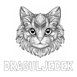 Online izdelana pobarvanka - Pobarvanka imena DRAGULJEČEK in pobarvanka mačke