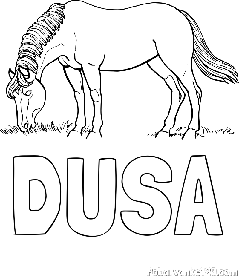 Pobarvanka imena DUŠA in pobarvanka konja med pašo