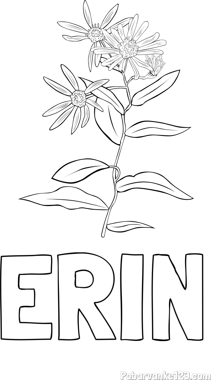 Pobarvanka imena ERIN in pobarvanka cvetlice