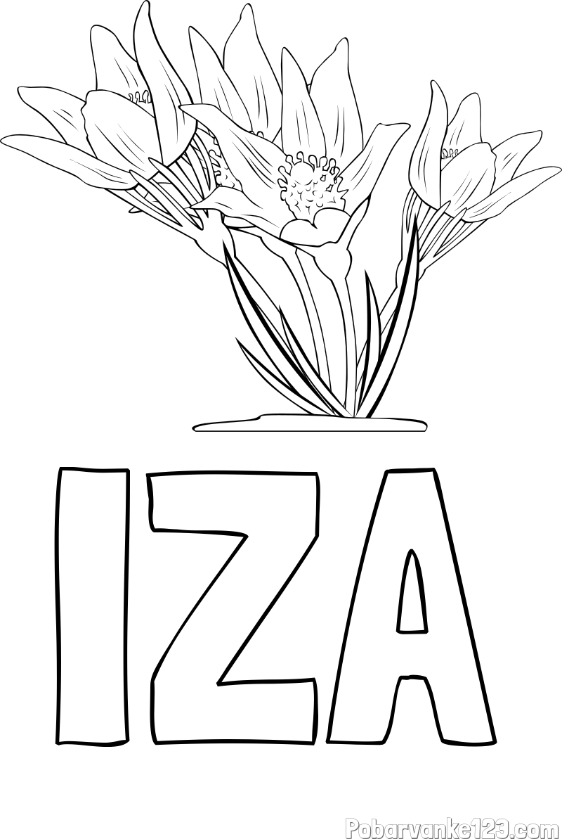 Pobarvanka imena IZA in pobarvanka lepe rože