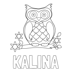 Pobarvanka imena KALINA in pobarvanka sove