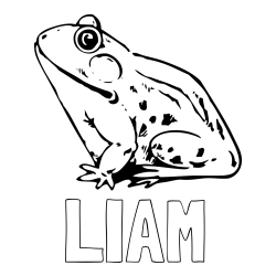 Online izdelana pobarvanka - Pobarvanka imena LIAM in pobarvanka žabe Regice