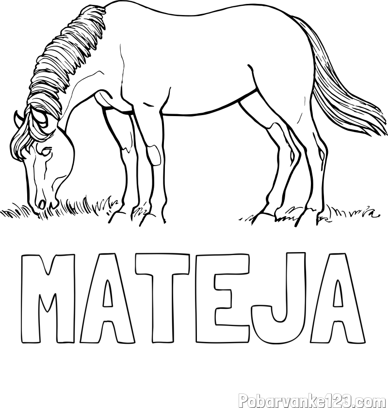 Pobarvanka imena MATEJA in pobarvanka konja med pašo