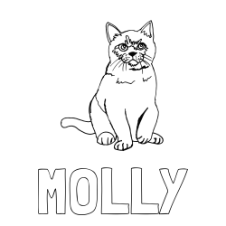 Online izdelana pobarvanka - Pobarvanka imena MOLLY in pobarvanka lepe mucke