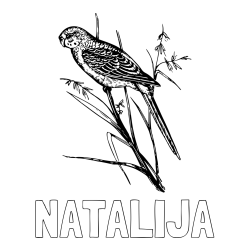 Online izdelana pobarvanka - Pobarvanka imena NATALIJA in pobarvanka kanarčka