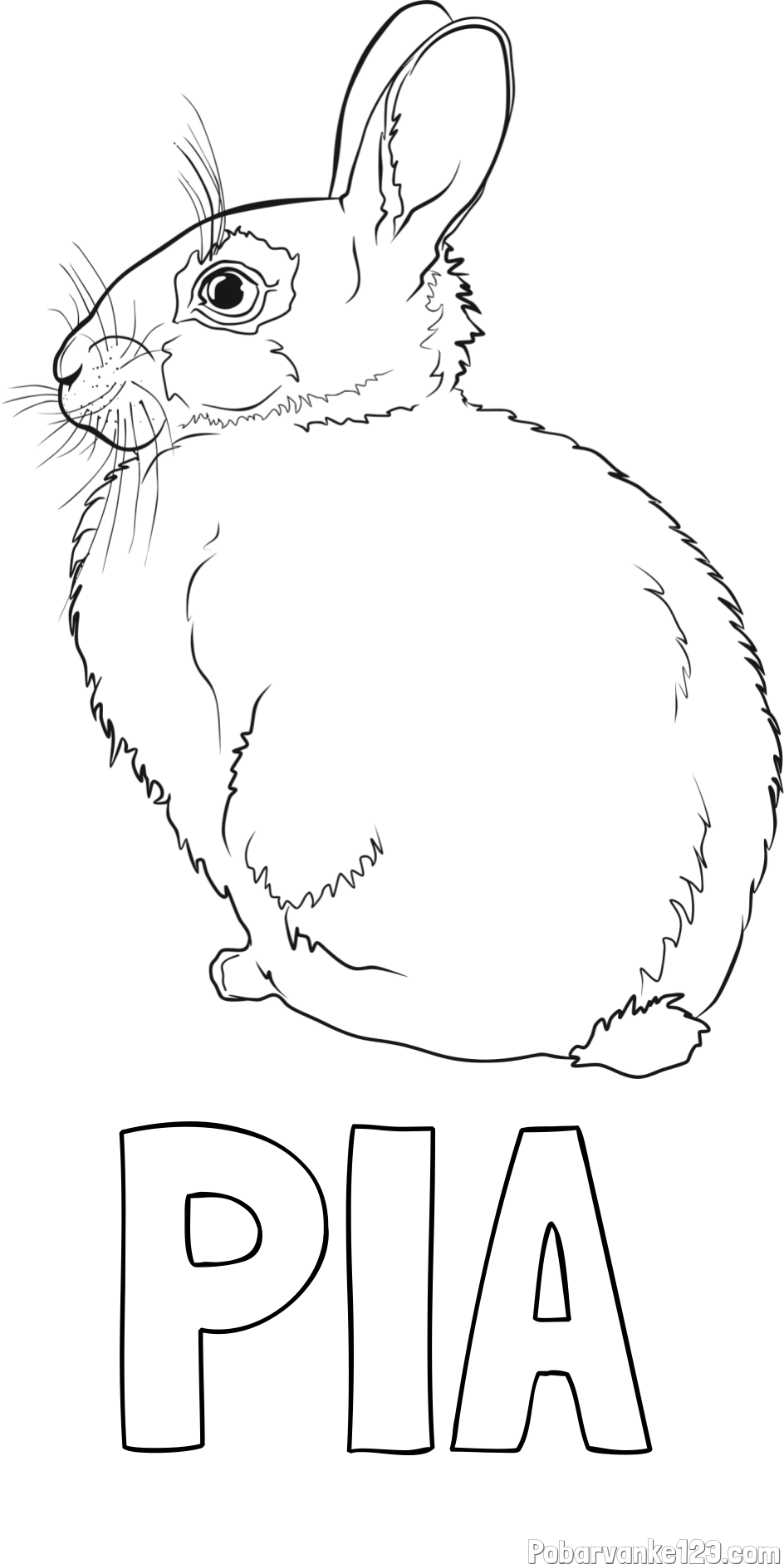 Pobarvanka imena PIA in pobarvanka debelega zajca