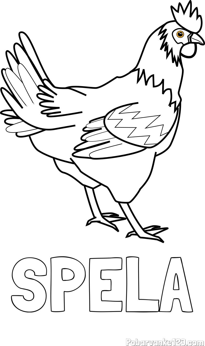 Pobarvanka imena ŠPELA in pobarvanka kokoške