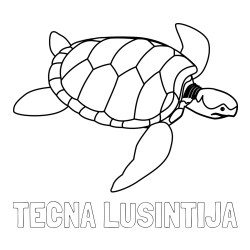 Online izdelana pobarvanka - Pobarvanka imena TEČNA LUSINTIJA in otroška pobarvanka velike želve