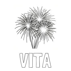 Online izdelana pobarvanka - Pobarvanka imena VITA in lepa pobarvanka ognjemeta