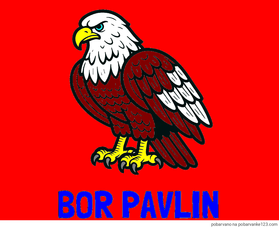 POBARVANA POBARVANKA - Pobarvanka imena BOR PAVLIN in pobarvanka orla