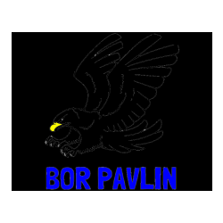 Pobarvana pobarvanka - Pobarvanka imena BOR PAVLIN in pobarvanka orla v napadu