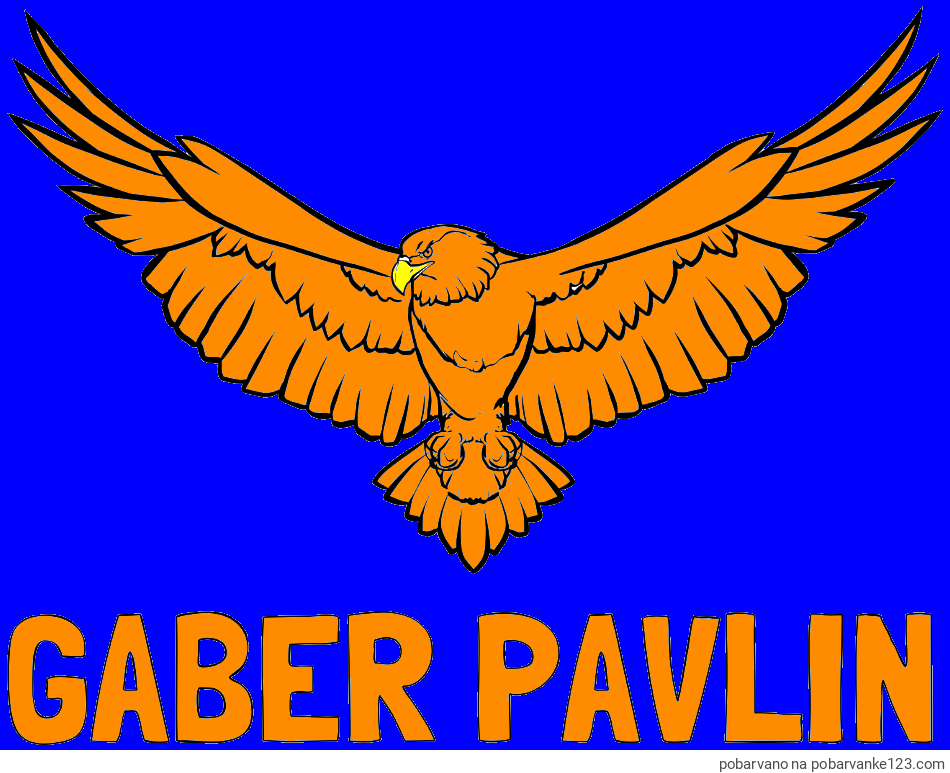 POBARVANA POBARVANKA - Pobarvanka imena GABER PAVLIN in pobarvanka orla s široko razprtimi krili